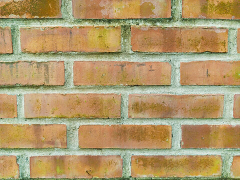 Weathered Red Brick Wall Texture with Moss and Lichen
