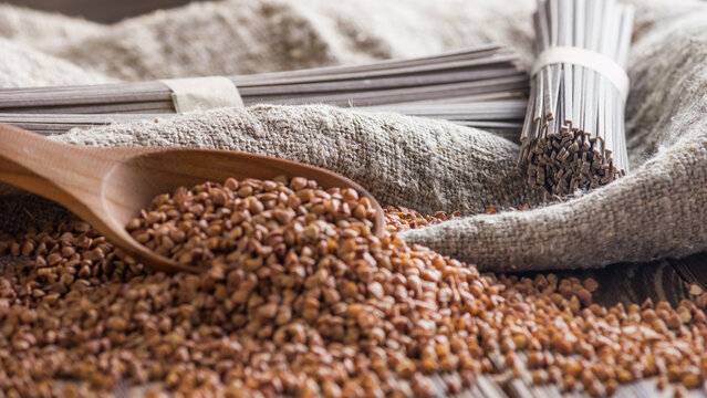 Rural still-life - the peeled groats of buckwheat (Fagopyrum esculentum) and dried soba noodles made from buckwheat flour on the background of burlap, closeup with selective focus