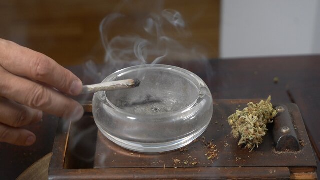 More and more young people are using drugs and smoking joints&mdash;a young person's hands preparing a cigarette with tobacco and marijuana (weed). Soft drug thc addiction among school-age youth.