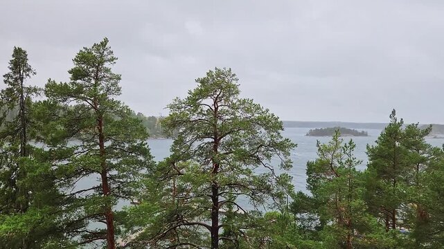 Beautiful view of pine trees in rain against background of Baltic Sea and rocky forested islands. Sweden.