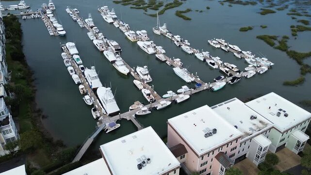 Sprawling coastal marshlands flank waterways beside marshlands along Mount Pleasant Marina. White hulls reflect sunlight onto brackish tidal creeks flowing toward coastal horizons. Mount, SC