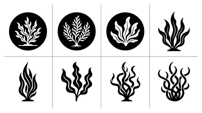 Seaweed silhouettes set with various underwater plants for ocean life logos