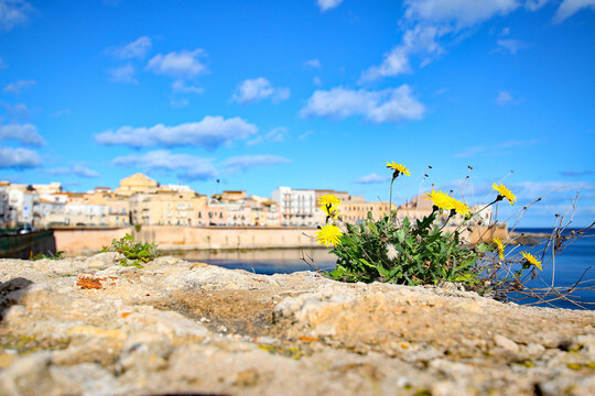 Sunny Coastal View of Ancient Buildings on Ortigia Island, Syracuse, Sicily