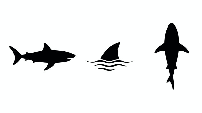 Shark silhouette set shows side view, fin waves, top perspective. Predatory fish icons display movement stealth. Minimalist black graphics isolated white. Clean flat design ocean wildlife theme.