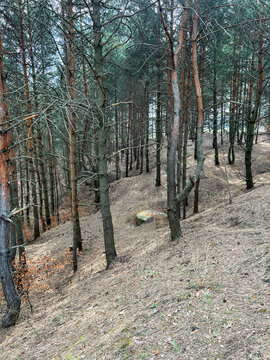 Old World War II military bunkers in the forest next to a tailings pile near Tarnowskie Gory (Repty) in Silesia, Poland.
