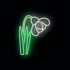 Fototapeta premium Snowdrop flower icon with green stem and white petals glowing in a neon style