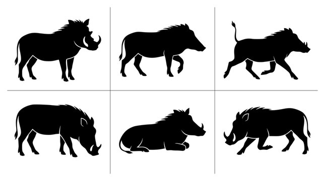 Warthog silhouettes set with figures standing, walking, running, grazing and resting for wildlife logos