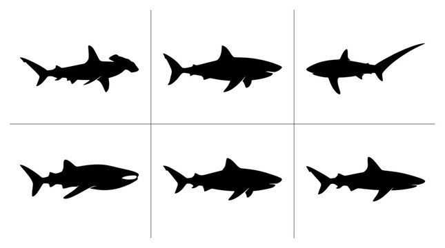 Shark silhouettes set with hammerhead, great white, mako and whale shark for ocean life icons