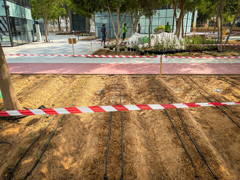 Irrigation lines running across freshly turned soil at a former exhibition site in Dubai, United Arab Emirates