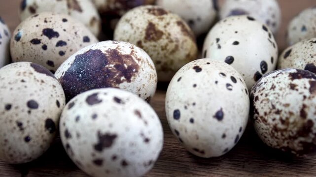 Group of quail eggs with varied spotted shell patterns