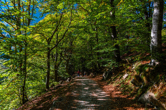 L&rsquo;autunno sta arrivando al Lago del Vej del Bouc, in Valle Gesso, tra stambecchi e camosci