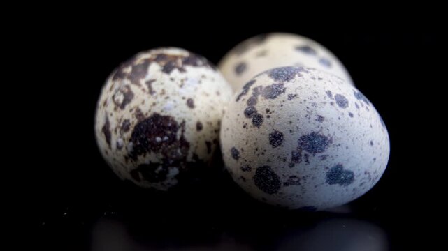 Three Quail Eggs Showing Different Shell Patterns on Black