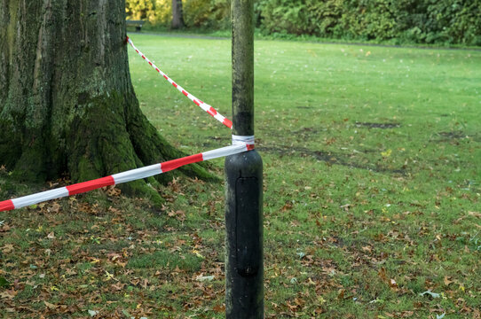 Park area is closed off with safety tape and a tree nearby