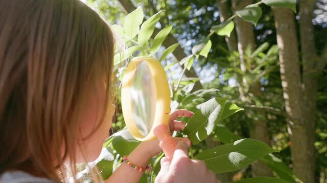 Young female explorer examines tree leaves with yellow loupe in bright garden. Focused child researcher studies nature up close, enjoying sunny backyard learning activity during summer break.