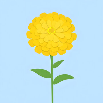 Bright yellow zinnia flower illustration isolated on transparent