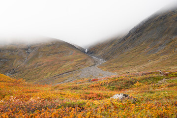 Vibrant autumnal colors in the arctic tundra, leading to a foggy mountain valley in Sweden © Jacob Hall