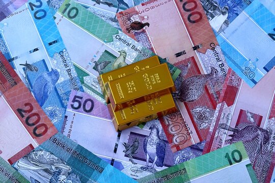Gambian dalasi money bills and gold bullion bars. Gambia cash bills of GMD currency close up