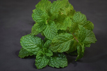 Fresh green mint leaves close-up on dark grey background, aromatic herb for cooking, tea, cocktails and healthy food concept © YFS