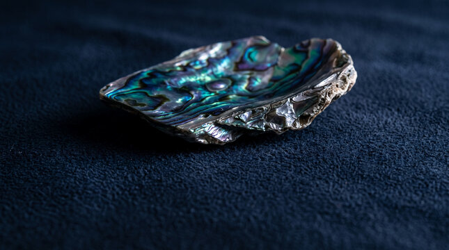 Iridescent Abalone Shell Fragment on Dark Fabric