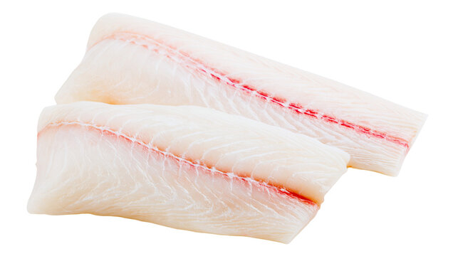 Fresh raw white fish fillets with pinkish red blood line
