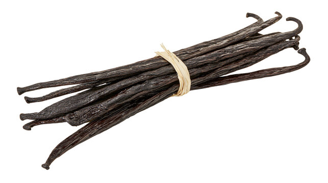 Bundle of dried dark brown vanilla bean pods tied with a natural raffia string