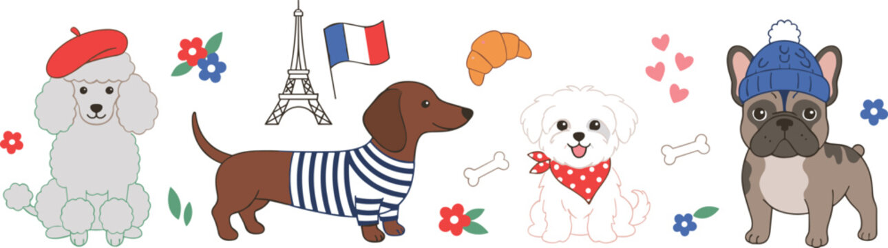 Cute French Dog Breed Cartoon Illustration Set with Poodle in Beret, Dachshund Wearing Striped Shirt, Fluffy Bichon, French Bulldog in Winter Hat, and Paris Accessories