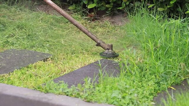 Close-up of a string trimmer cutting green grass and weeds in a garden