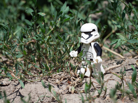 Chernihiv, Ukraine, July 13, 2021. A walking imperial stormtrooper among plants, a plastic minifigure. Illustrative editorial.
