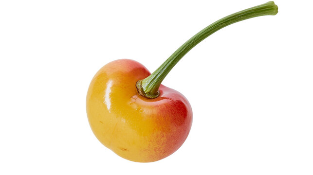 Single fresh yellow and red Rainier cherry with green stem