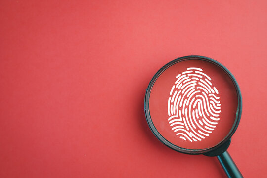 Top view of a black magnifying glass with a white fingerprint graphic overlay on a red background. Concept of biometric security, identity theft, cybersecurity, forensic investigation, and privacy.
