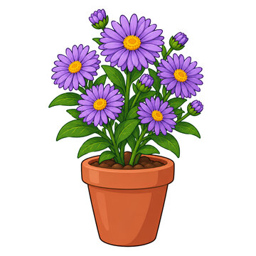 Purple Aster Flowers in Terracotta Pot Flat Vector Illustration