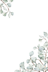 Watercolor eucalyptus vertical card corner frame. Botanical layout with copy space for wedding invitations, branding, cosmetics packaging, and stationery design. Isolated on white background © Oksana