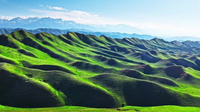 Aerial view of undulating green hills with shadows and distant snow-capped mountains along S101 highway in Xinjiang, China.