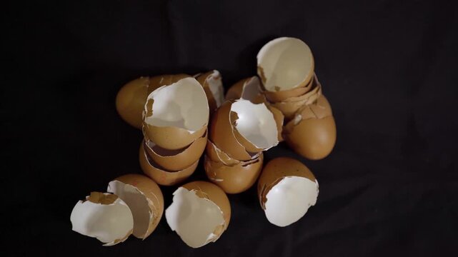 Cracked Eggshells on Black Background in Food Still Life