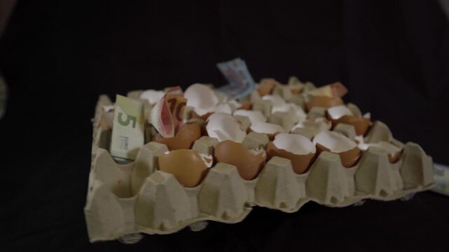Euro Notes in Egg Tray as Household Food Cost Concept