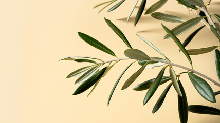 Fresh green olive tree branch with healthy leaves against light background © Ayesha