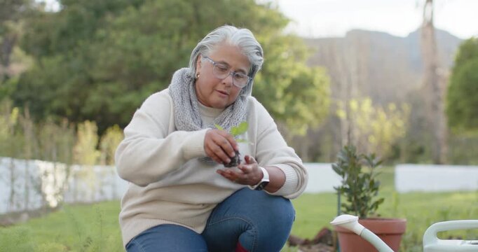 Checking seedling tray, African American senior woman in red boots kneeling at raised bed planting