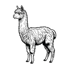 Fototapeta premium Llama standing in profile is depicted as a black silhouette