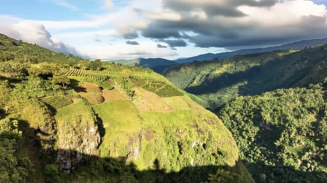 Coffee Plantation Cultivated on Green Mountain Slopes in Colombia. Time Lapse. Establishing Shot.