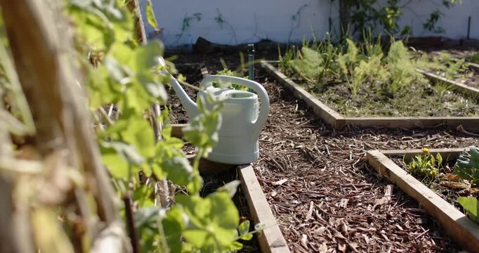 Camera is panning right and pulling focus, revealing pale green watering can for watering seedlings