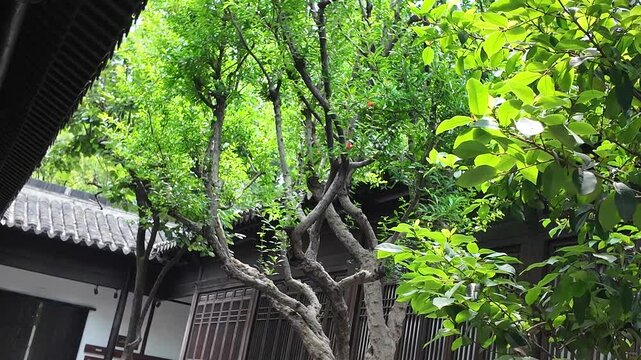 Lush green courtyard scene in historic Nanjing, China, featuring traditional architecture.