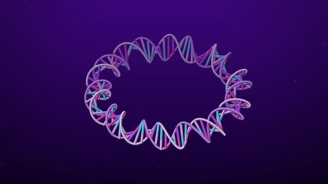 Circular DNA double helix ring rotating in purple and lilac, seamless loop animated background