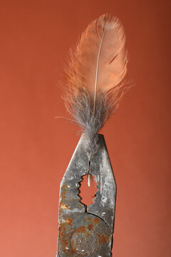 A close-up shot of old pliers holding a soft, fluffy bird feather. Isolated studio shot on a brown background.