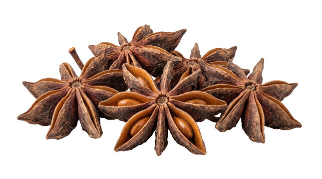 Dried star anise pods on a transparent background displaying aromatic seeds