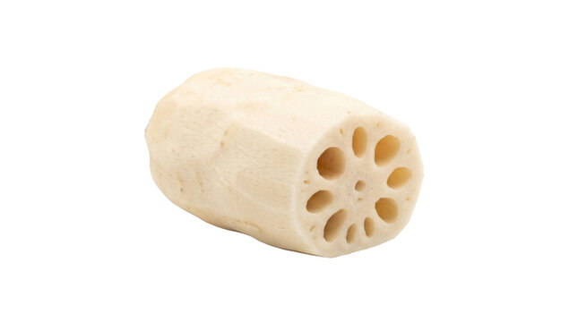 Lotus root segment showing interior structure on a transparent background