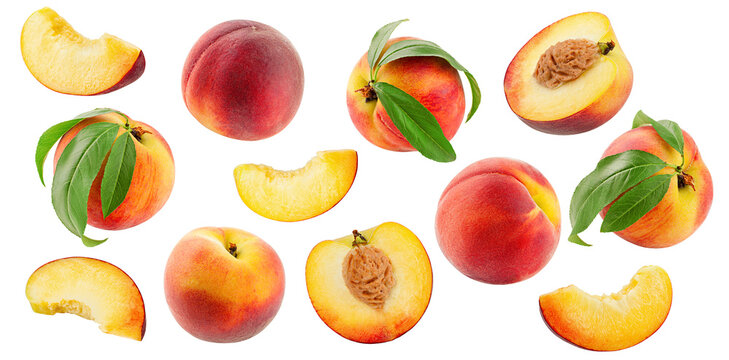 Peach isolated, full depth of field