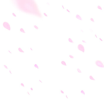 桜吹雪　背景　ピンク色