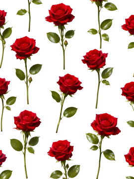 Seamless pattern of realistic red roses with green stems on black background