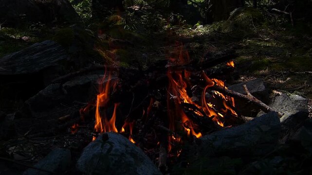 Real campfire burning inside a river stone fire pit in the deep forest shade. Beautiful outdoor bonfire with sun beams breaking through trees illuminating the ground on a sunny day in Bulgaria.
