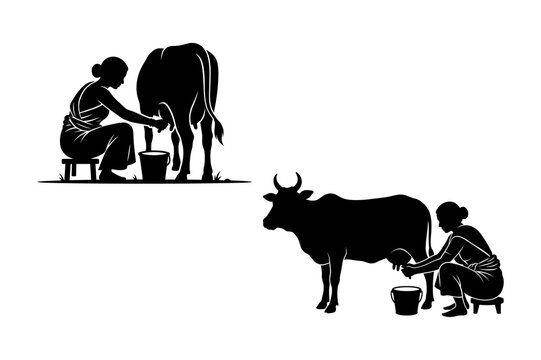 Black and white silhouette illustration of bangladeshi rural women milking dairy cows